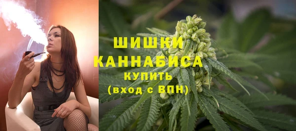 стаф Балахна