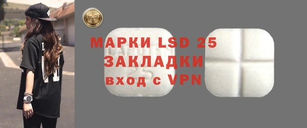 стаф Балахна