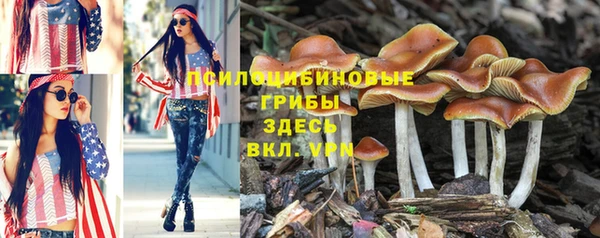 а пвп мука Балабаново