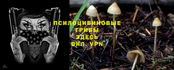 прущие крисы Баксан