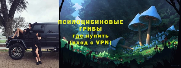 стаф Балахна
